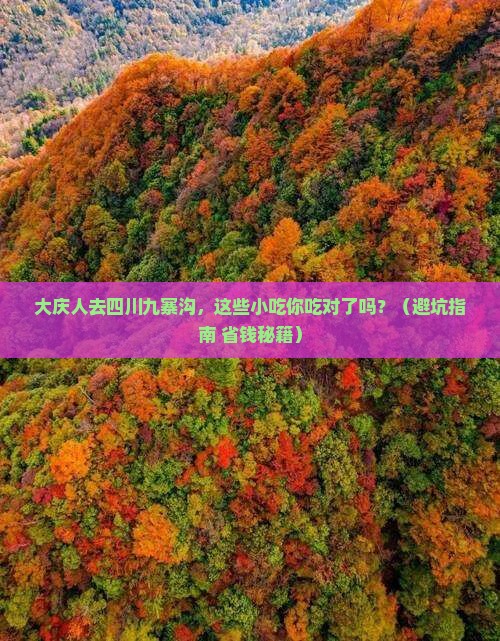 大庆去四川九寨沟旅游小吃