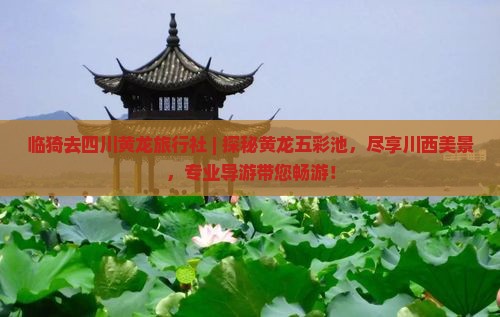 临猗去四川黄龙旅行社