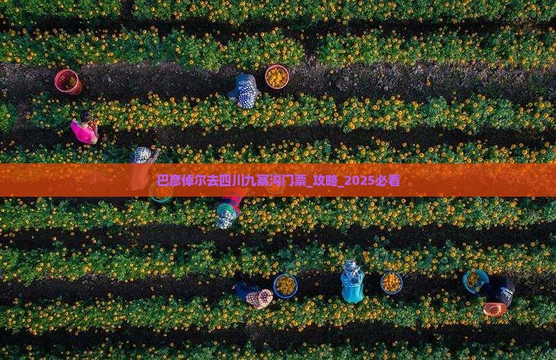 巴彦倬尔去四川九寨沟门票