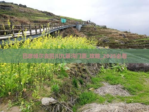 巴彦倬尔去四川九寨沟门票