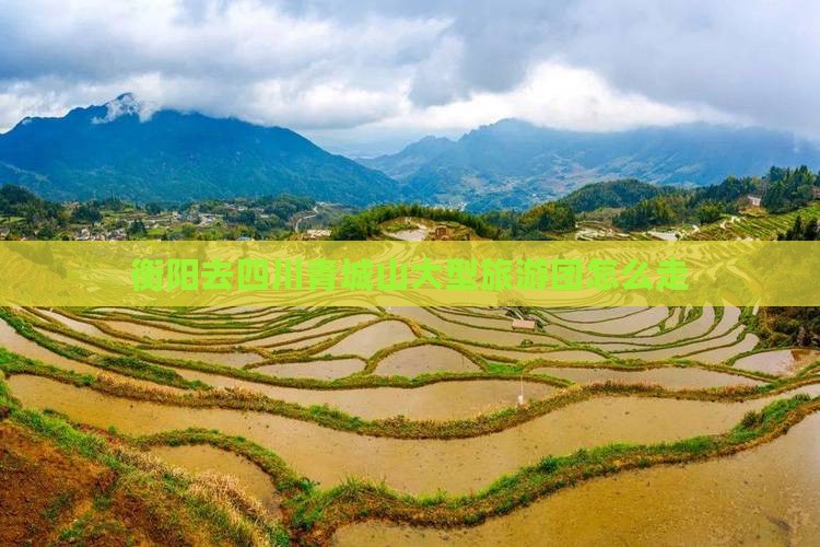 衡阳去四川青城山大型旅游团