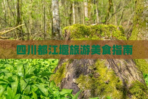 漳州到四川都江堰旅游小吃
