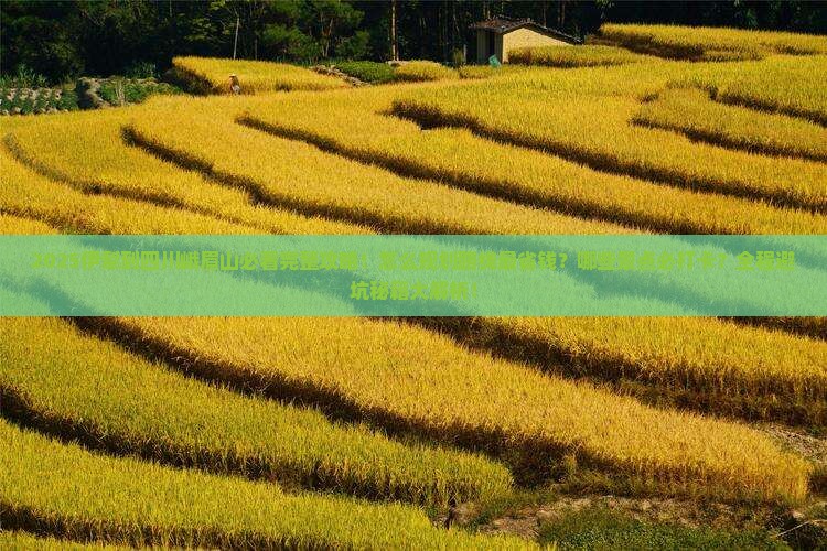 伊犁到四川峨眉山攻略