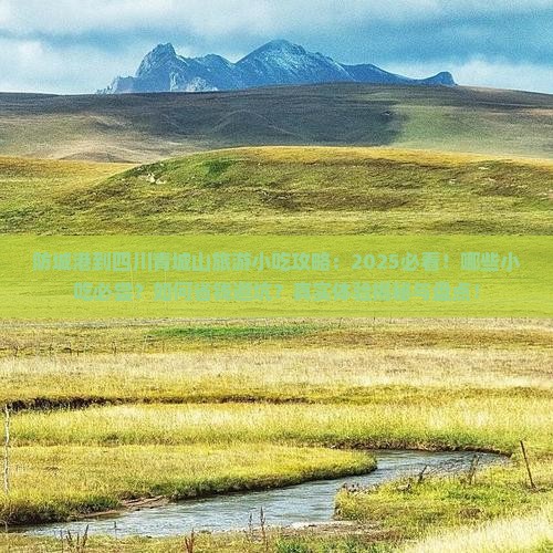 防城港到四川青城山旅游小吃