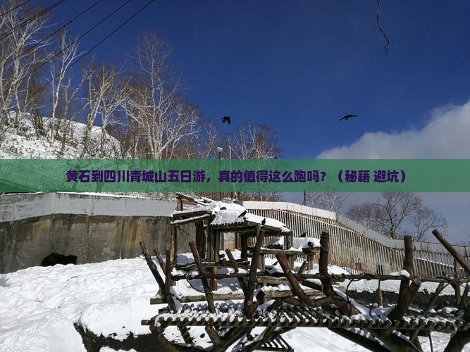 黄石到四川青城山五日游