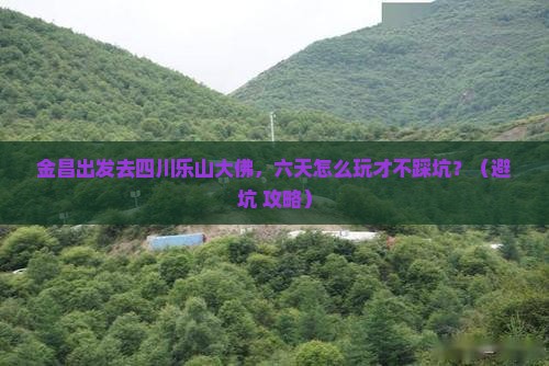 金昌去四川乐山大佛六日游
