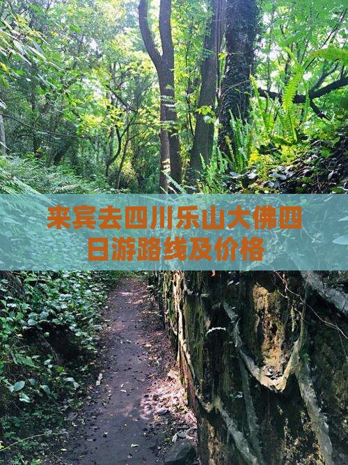 来宾去四川乐山大佛四日游