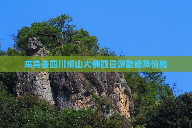 来宾去四川乐山大佛四日游