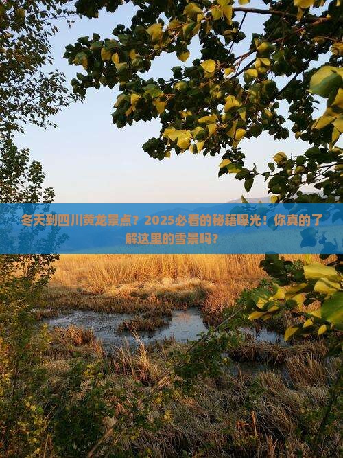 冬天到四川黄龙景点