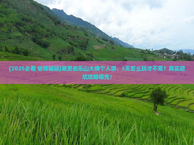 莱芜去四川乐山大佛个人游