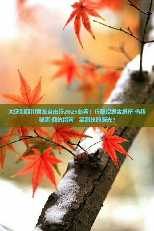 大庆到四川黄龙自由行