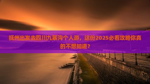 抚州去四川九寨沟个人游
