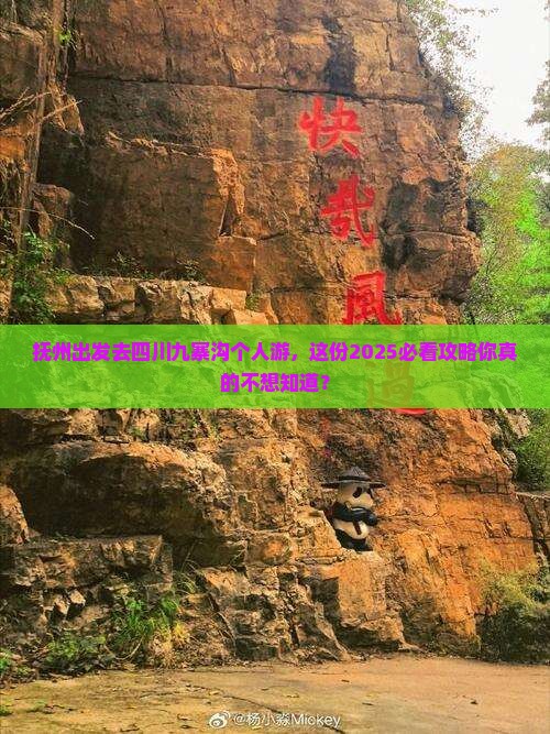 抚州去四川九寨沟个人游
