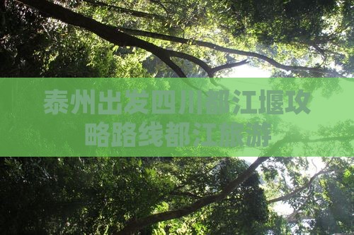 泰州去四川都江堰攻略