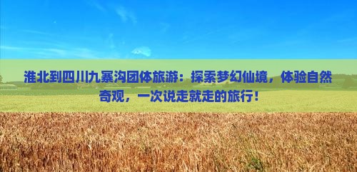 淮北到四川九寨沟团体旅游