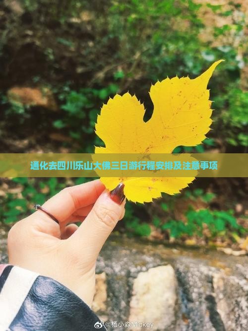 通化去四川乐山大佛三日游