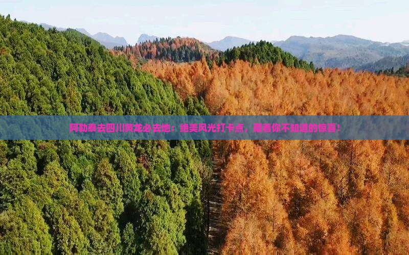 阿勒泰去四川黄龙必去地