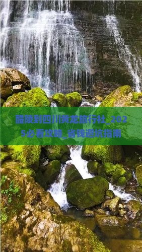 醴陵到四川黄龙旅行社