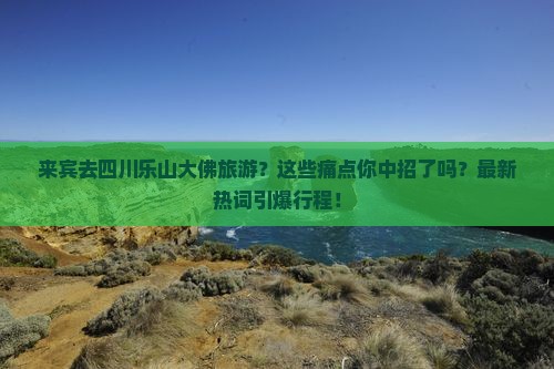 来宾去四川乐山大佛旅游