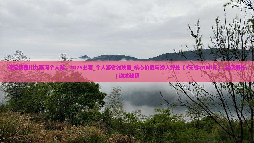 保定到四川九寨沟个人游