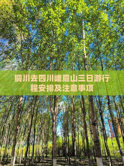 铜川去四川峨眉山三日游