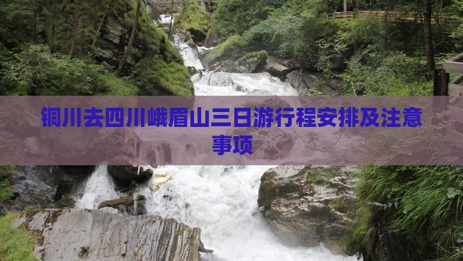 铜川去四川峨眉山三日游
