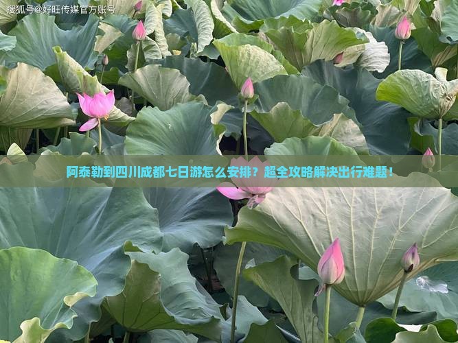 阿泰勒到四川成都七日游