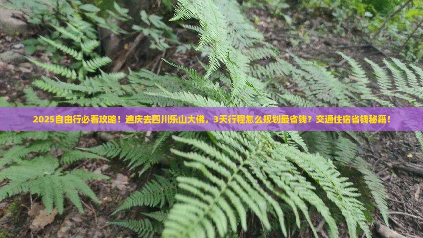 迪庆去四川乐山大佛自由行