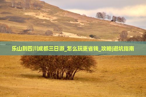 乐山到四川成都三日游