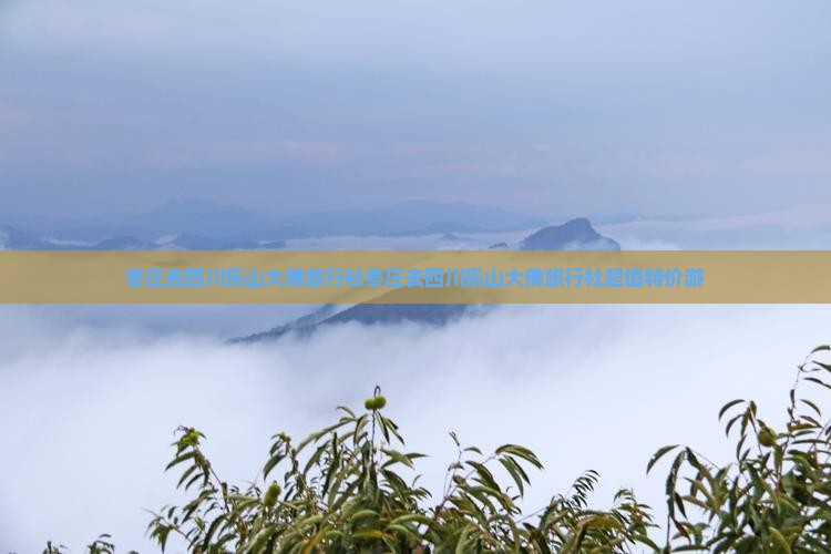 枣庄去四川乐山大佛旅行社
