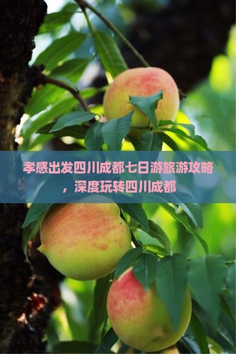 孝感到四川成都七日游