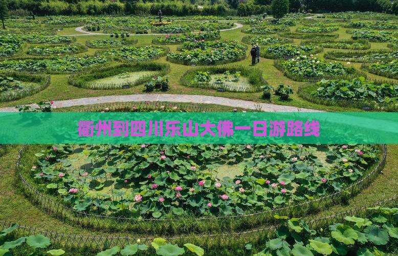 衢州到四川乐山大佛一日