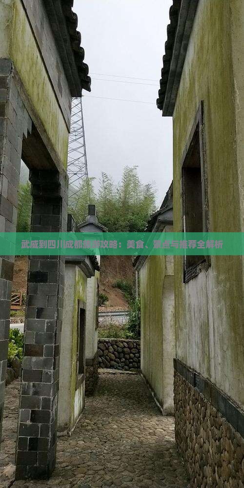 武威到四川成都旅游小吃
