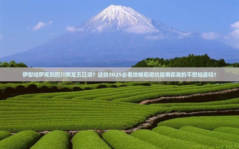 伊犁哈萨克到四川黄龙五日游
