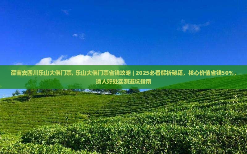 渭南去四川乐山大佛门票