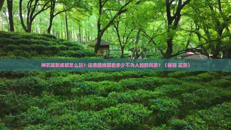 神农架到四川成都攻略