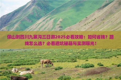 保山到四川九寨沟三日游
