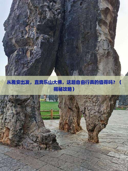 雅安到四川乐山大佛自由行