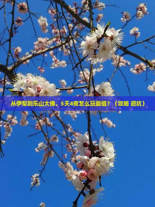伊犁去四川乐山大佛团体旅游