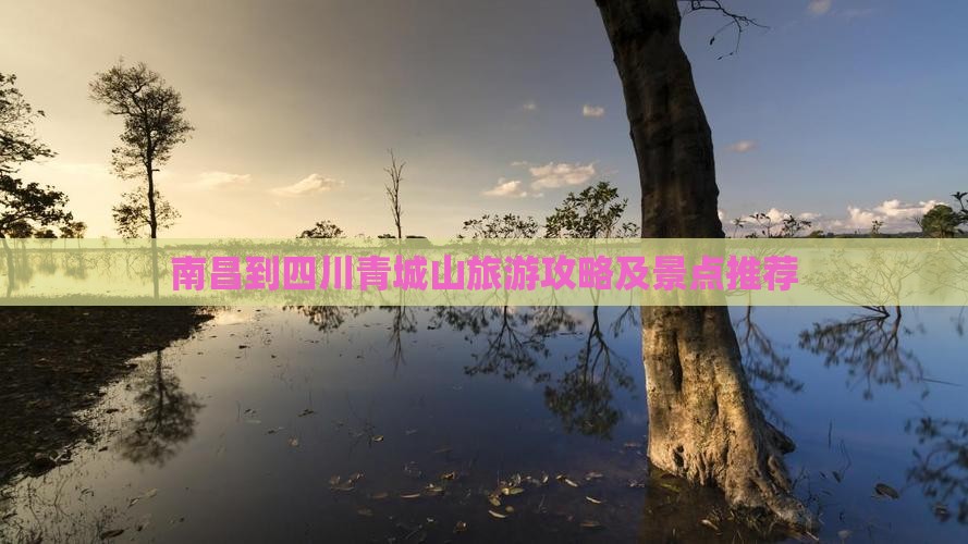 南昌到四川青城山自由团