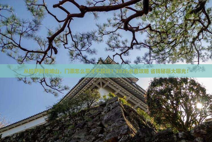 拉萨去四川青城山门票