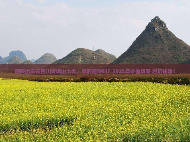 醴陵去四川青城山七日游