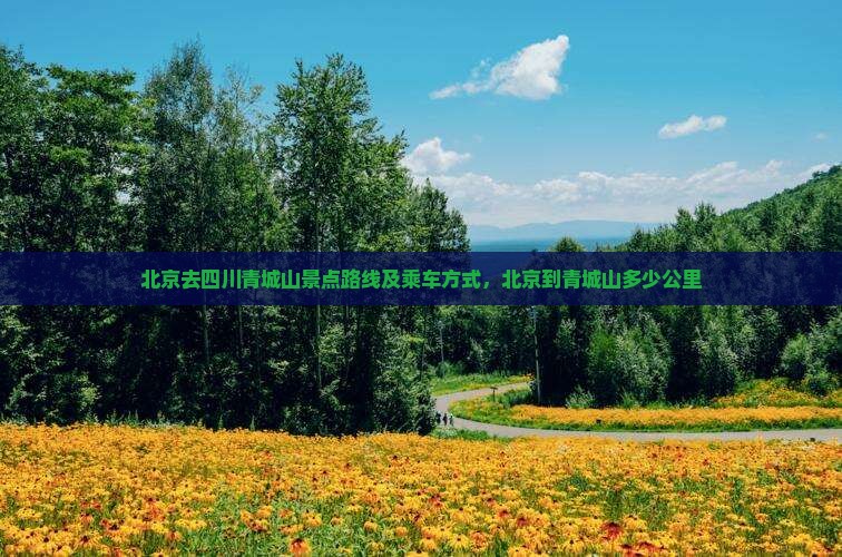 北京去四川青城山景点