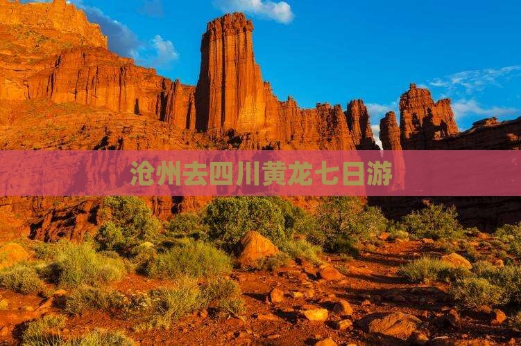 沧州去四川黄龙七日游