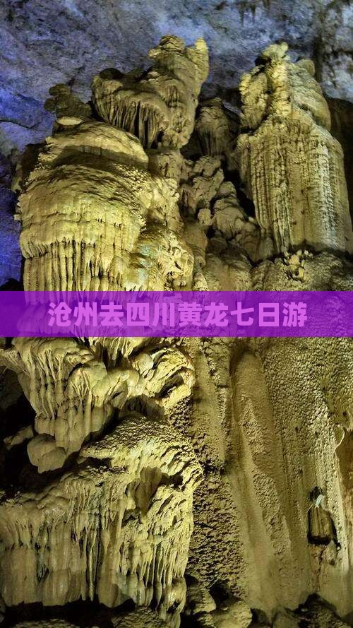 沧州去四川黄龙七日游