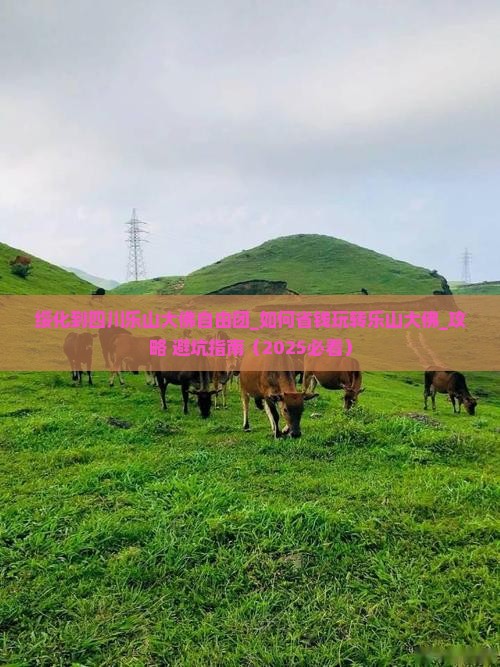 绥化到四川乐山大佛自由团