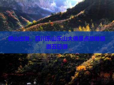 佛山到四川乐山大佛五日游