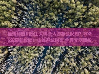 梧州到四川乐山大佛个人游 梧州到四川乐山大佛个人游