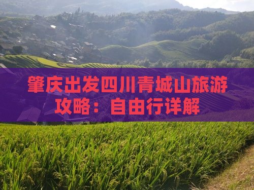 肇庆去四川青城山自由行