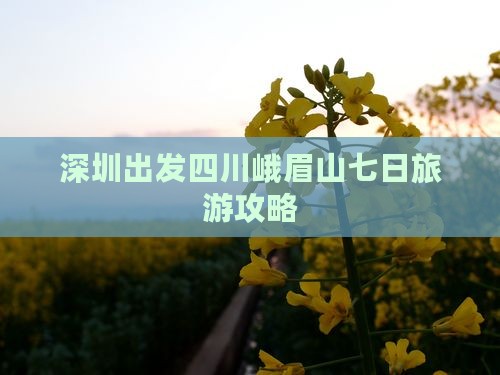 深圳去四川峨眉山七日游